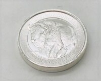 2 Troy Oz Fine Silver