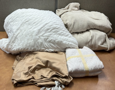 King Size Comforter, Pillow Cases, 2 Fuzzy Blankets and Tan Cover