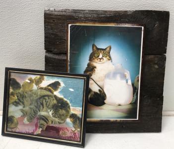 (2) Cat Pictures
