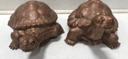 Bronze Colored Turtles