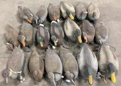 (19) Assorted Duck Decoys w/ Weights