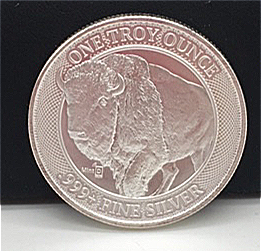 One Troy Ounce .999 Fine Silver Coin