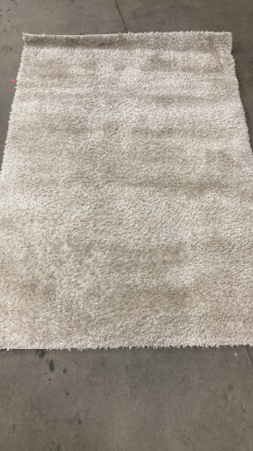 4’ x 6’ Ivory Shag Area Rug