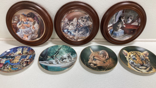 (3) Framed Kitten Collectible Plates, (1) Kitten Plate, (3) Wild Cat Cub Plates