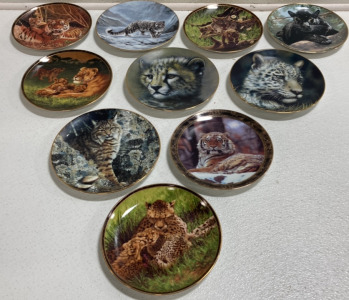 (10) Assorted Wild Cat Collectible Plates