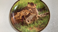 (10) Assorted Wild Cat Collectible Plates - 2