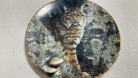 (10) Assorted Wild Cat Collectible Plates - 6