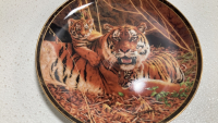 (10) Assorted Wild Cat Collectible Plates - 19