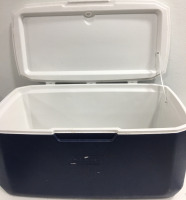 Large Coleman Cooler - 2