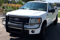 2010 FORD F-150 - 4X4 - BRUSH GUARD