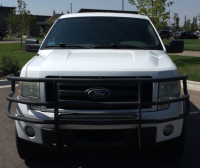 2010 FORD F-150 - 4X4 - BRUSH GUARD - 2