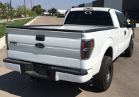 2010 FORD F-150 - 4X4 - BRUSH GUARD - 6