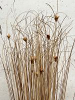 Large Reed Decor to Liven Up Your Living Space and Fill Those Bare Corners! - 2