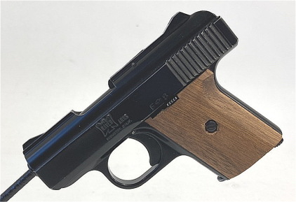 Raven Arms MP25 25acp Pistol