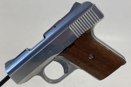 Raven Arms MP25 25acp Pistol