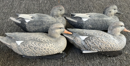 4 Gadwall Decoy Life Size W/ Anchors