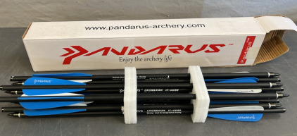 (12) Pandarus Cross Bow Arrows