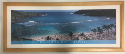 Framed Hanauma Bay Print 41&rdquo; x 17 1/8