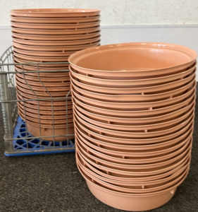CRATE FULL OF PLASTIC TRAYS