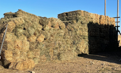 ISCC East Fields (704) Bales Grass Hay- Located South of Boise