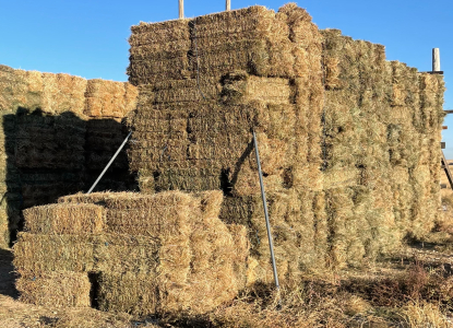ISCC West Fields (470) Bales Grass Hay- Located South of Boise