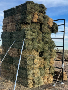 MVTC (88) Bales Grass Hay- Located South of Boise