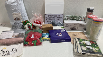 Assorted Seasonal Decor, Plastic To Go Cups, Round Pet Bed, LED String Lights, Soap Holder and more!