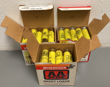 (69) RNDS. WINCHESTER 20 GA AMMO