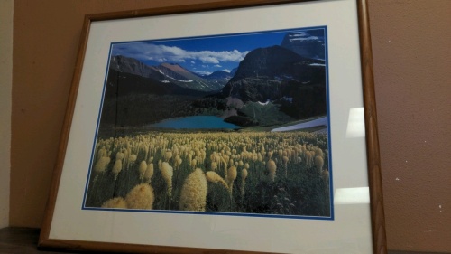 Framed Print