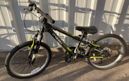 20&rdquo; DynaCraft Shock Zone Bicycle (Black)