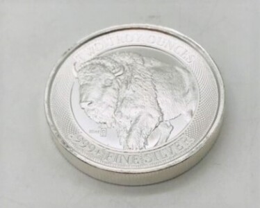 2 Troy Oz Fine Silver Coin