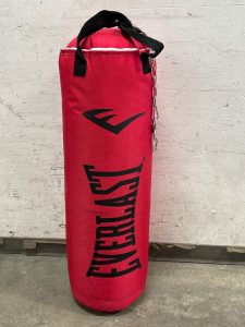 EVERLASTING PUNCHING/KICKING IN GREAT CONDITION