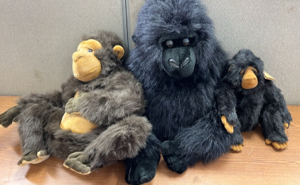 (3) STUFFED GORILLAS; PLEASE INSPECT