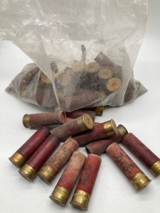 Bag of Old Shot Gun Ammo