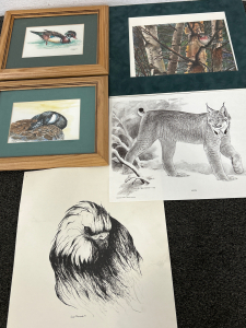 WILDLIFE WALL ART PRINTS