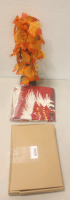 (1) Christmas Star with String Light Set (1) Christmas Theme Door Mat (1) Christmas Tree Toppers Light (1) Advent Calendar Wreath and Much More!! - 5