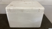 ICE CHEST AND BED PADS - 5