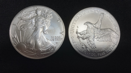 (2) 2023 USA 1oz Fine Silver Coins