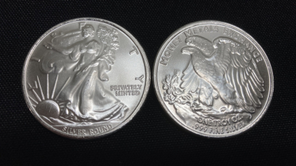 (2) One Troy Oz .999 Fine Silver Liberty Eagle Rounds