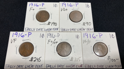 (5) 1916-P Wheat Pennies