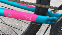 26” Magna Northern 15 Speed Bicycle (Teal/Pink) - 5