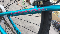 26” Magna Northern 15 Speed Bicycle (Teal/Pink) - 6