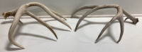 (9) Assorted Antler Sheds - 7