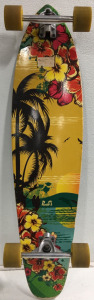 Yocaher Pintail Tropical Day Longboard Complete