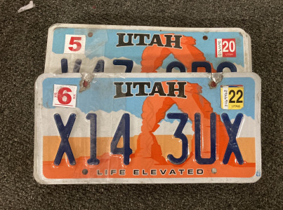 BOX OF LICENSE PLATES