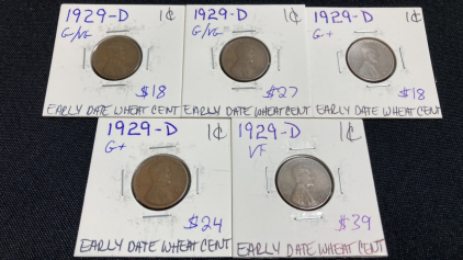 (5) 1929-D Wheat Pennies