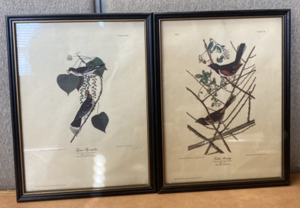 (2) HAND DRAWN AND COLORED BIRD PORTRAITS BY JOHN A. AUDUBON, NO. 16 & NO. 6.