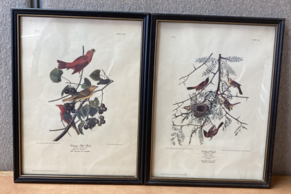 (2) VINTAGE HAND DRAWN AND COLORED JOHN A, AUDUBON BIRD PORTRAITS
