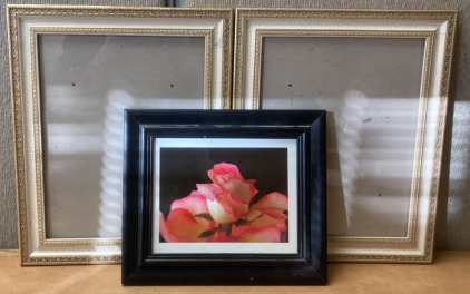 (2) 10&rdquo;X13&rdquo; PICTURE FRAMES, (1) FRAMED PICTURED ROSE