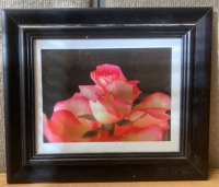 (2) 10”X13” PICTURE FRAMES, (1) FRAMED PICTURED ROSE - 3